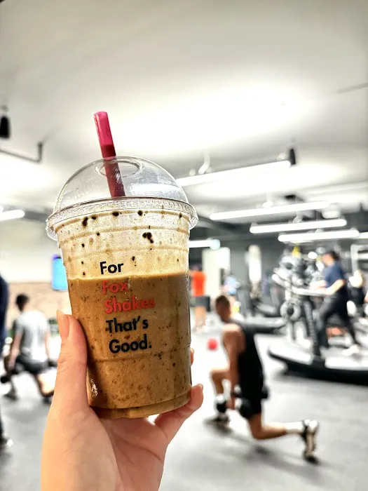 Fox Training Studio Picture 8