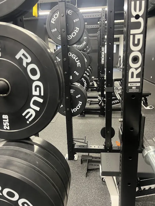 Fox Training Studio Picture 5