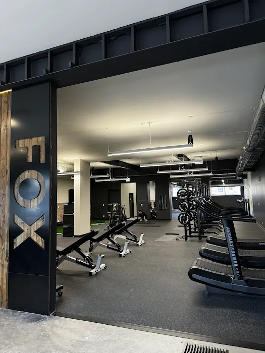 Fox Training Studio Picture 6