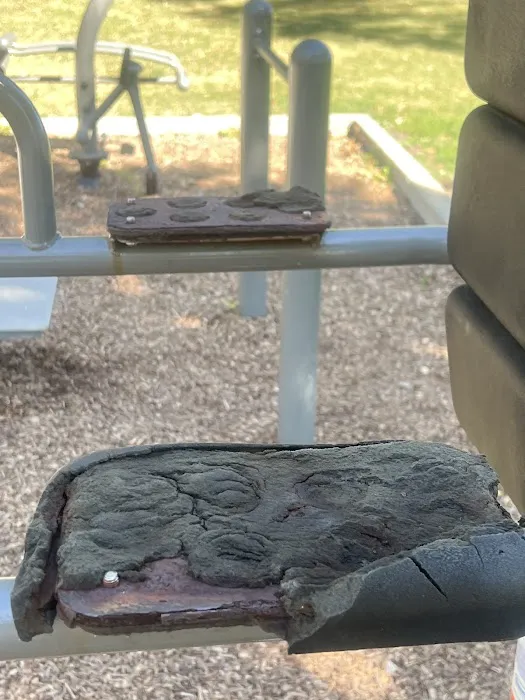 Lincoln Park Outdoor Fitness Station Picture 8