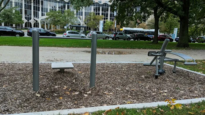 Lincoln Park Outdoor Fitness Station Picture 5
