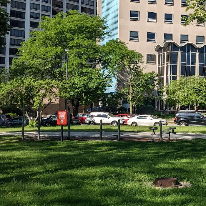 Lincoln Park Outdoor Fitness Station Picture 10
