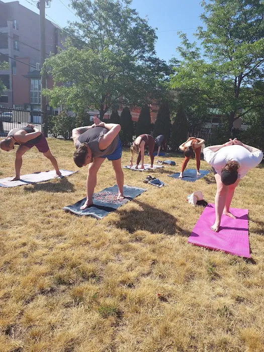 Yoga Body Elements -Global Wellness Center Picture 5