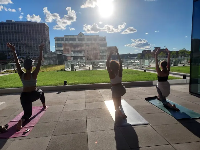 Cindy Huston, Frequency Wellness Coaching Picture 3