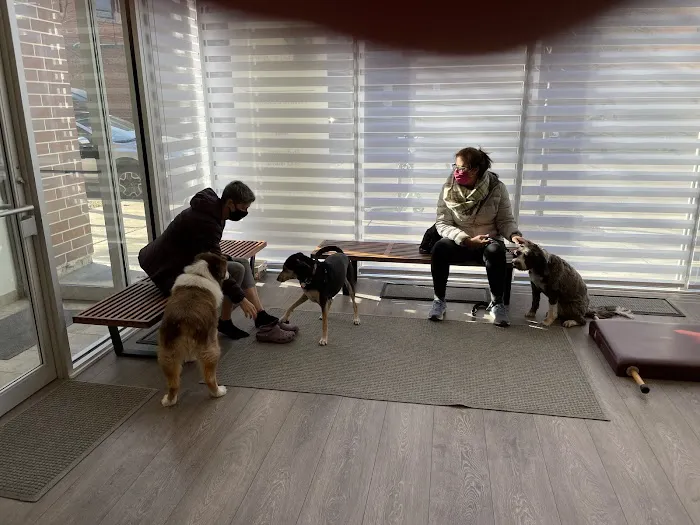 Pilates Advantage Picture 5