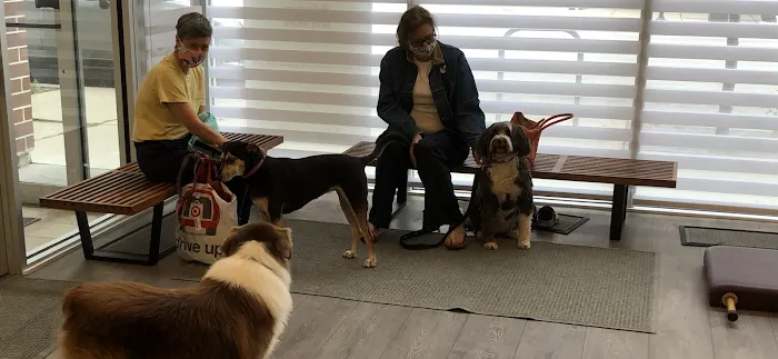 Pilates Advantage Picture 8