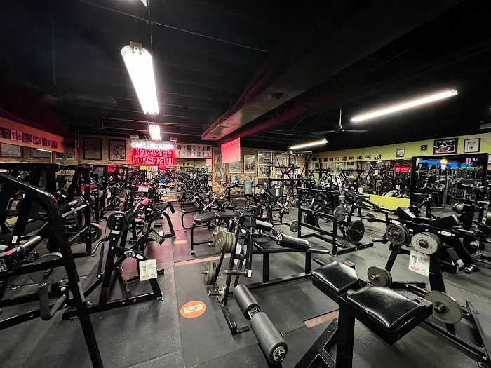 Quads Gym Picture 10