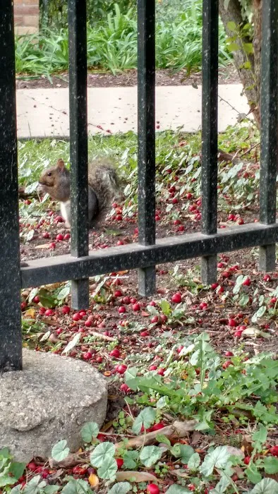 Margate Fitness Center Picture 4