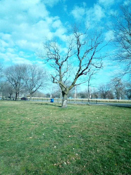 Margate Fitness Center Picture 3