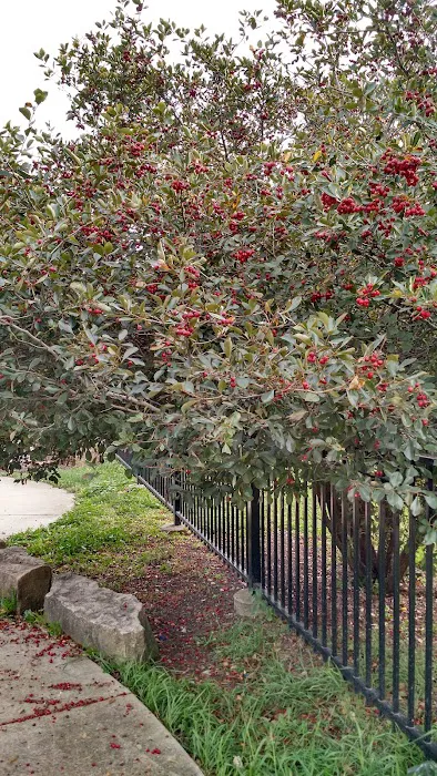 Margate Fitness Center Picture 5