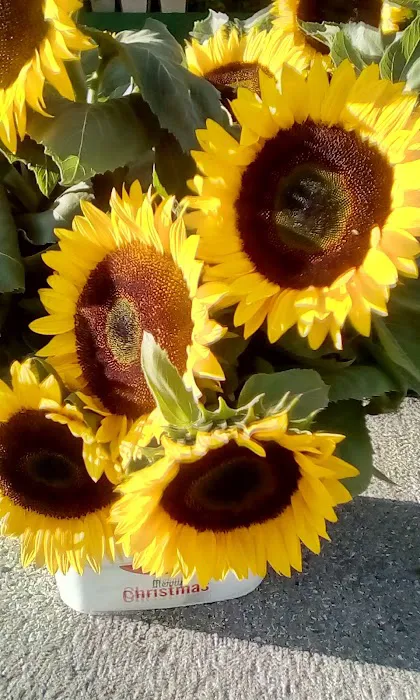 Broadway Armory Park Picture 7