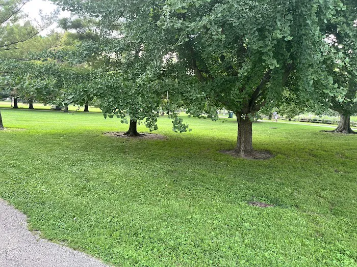 Phoenix Yoga Project Picture 8