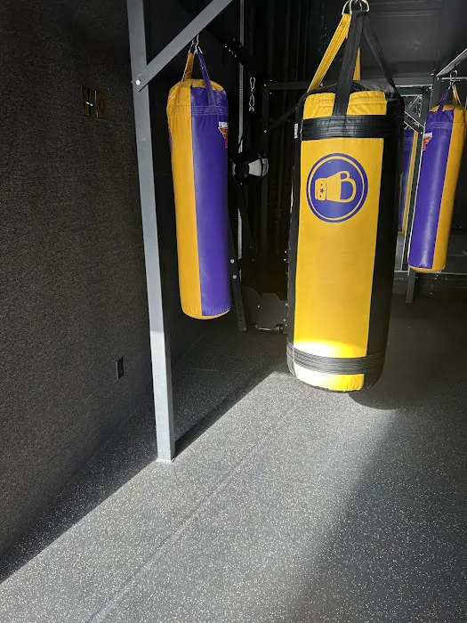 Bredwinners Boxing Picture 1