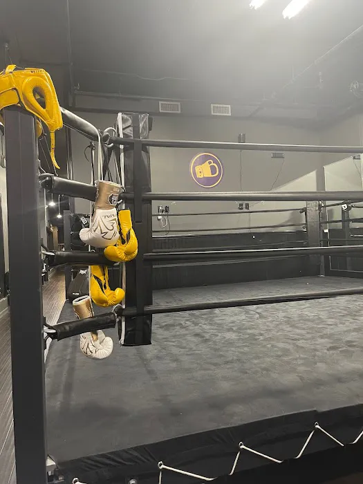 Bredwinners Boxing Picture 5