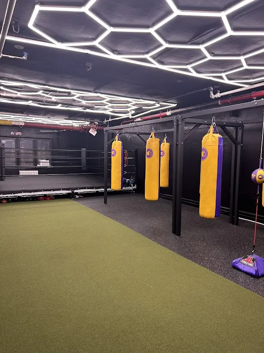 Bredwinners Boxing Picture 3