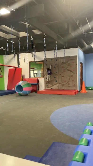 My Gym Children's Fitness Center Picture 2