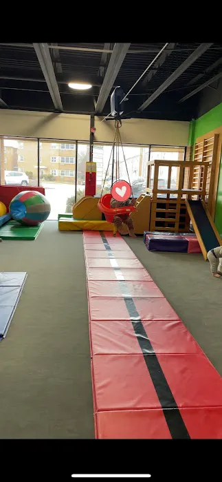 My Gym Children's Fitness Center Picture 4