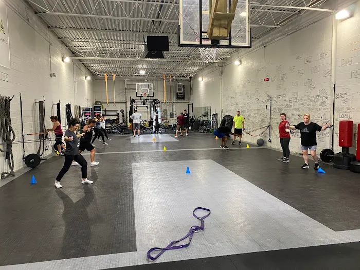 Premium Athletes Picture 5