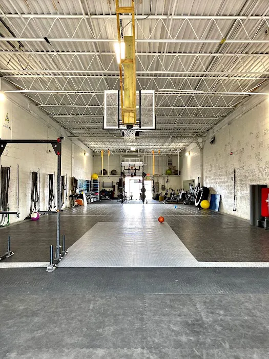 Premium Athletes Picture 2