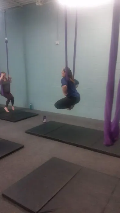 Lotus Aerial Dance & Aerial Yoga Picture 5