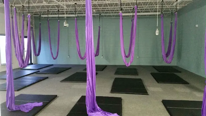 Lotus Aerial Dance & Aerial Yoga Picture 8