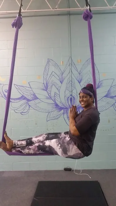 Lotus Aerial Dance & Aerial Yoga Picture 2