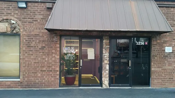 Lotus Aerial Dance & Aerial Yoga Picture 9