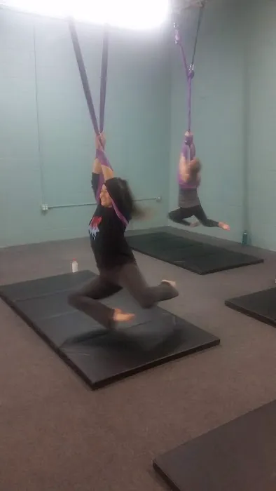 Lotus Aerial Dance & Aerial Yoga Picture 1