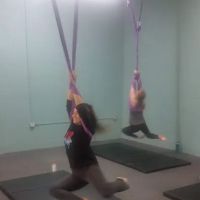 Lotus Aerial Dance & Aerial Yoga ico