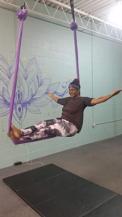 Lotus Aerial Dance & Aerial Yoga Picture 4