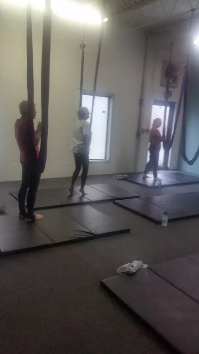 Lotus Aerial Dance & Aerial Yoga Picture 6