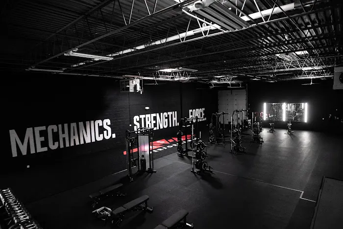 MSF PERFORMANCE Picture 7