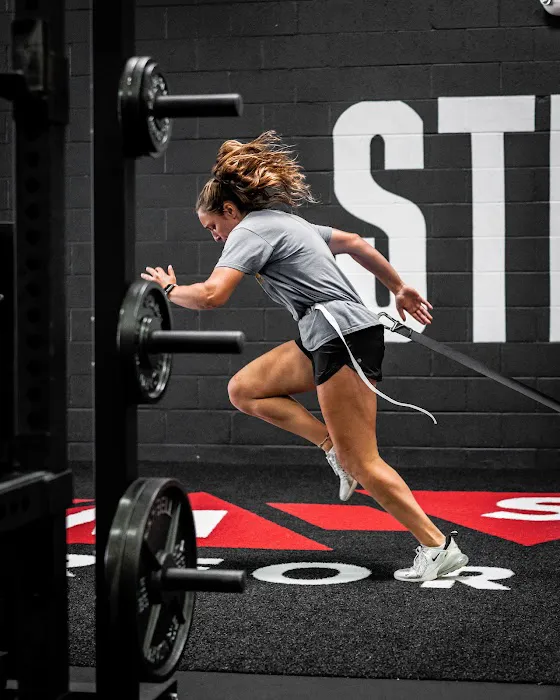 MSF PERFORMANCE Picture 3