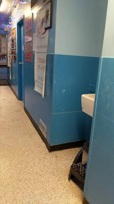 American Academy of Gymnastics Picture 3