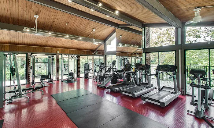 Tree House Gym Picture 1