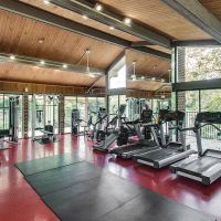 Tree House Gym ico