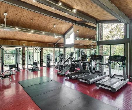 Tree House Gym
