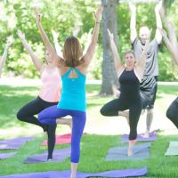 Fox Valley Yoga Teacher Training ico