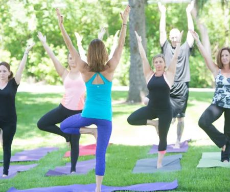 Fox Valley Yoga Teacher Training