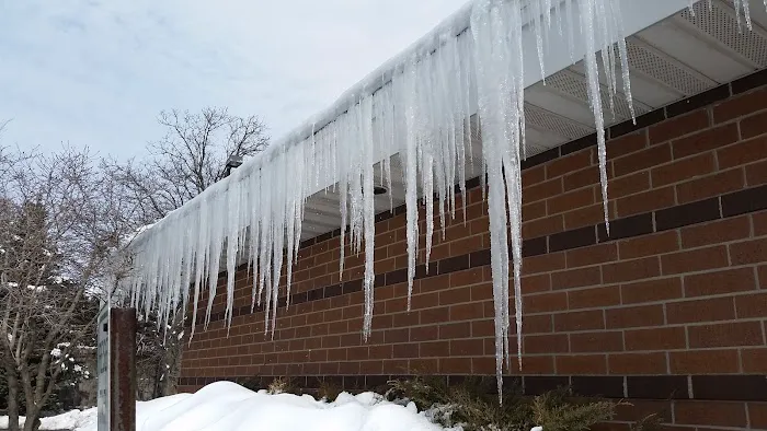 Bartlett Gymnastics Picture 5