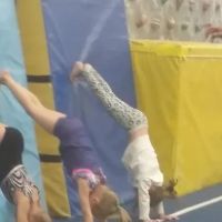 Bartlett Gymnastics ico