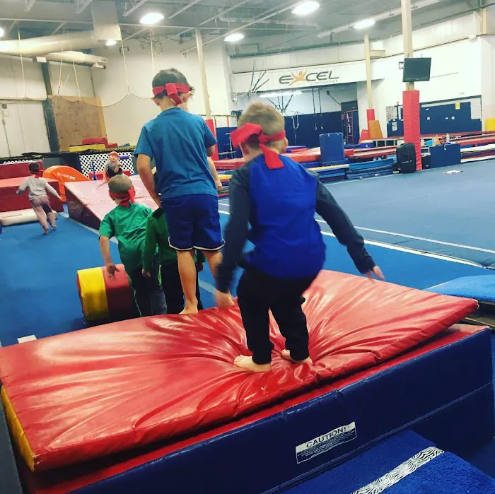 Excel Gymnastics Academy Picture 6