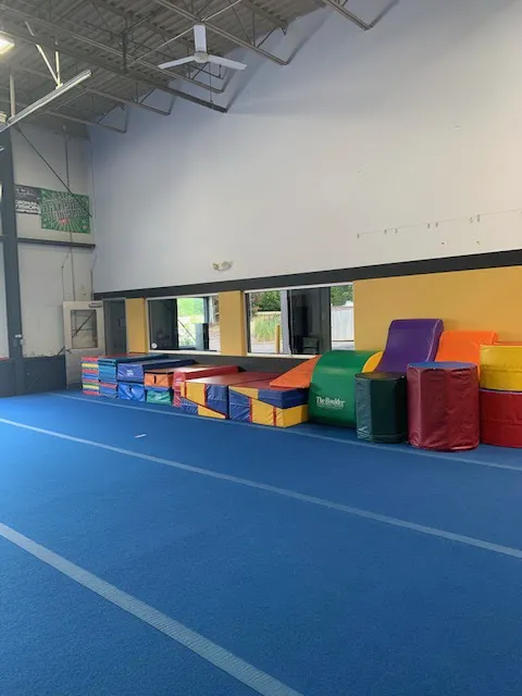 Excel Gymnastics Academy Picture 4