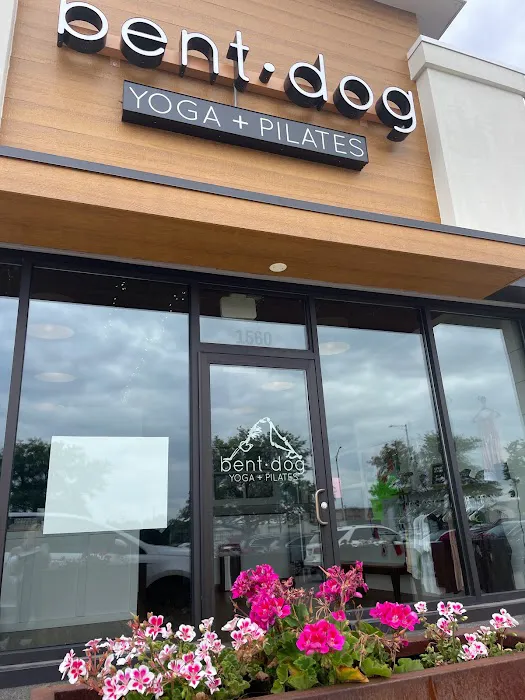 Bent Dog Yoga and Pilates Picture 2