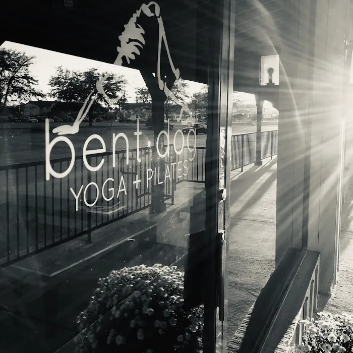 Bent Dog Yoga and Pilates Picture 4