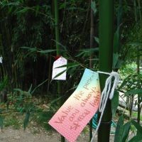 Greenleaf Yoga Studio ico