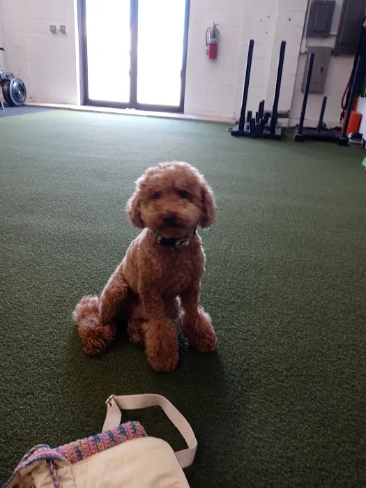 FACT Fitness LLC Picture 6