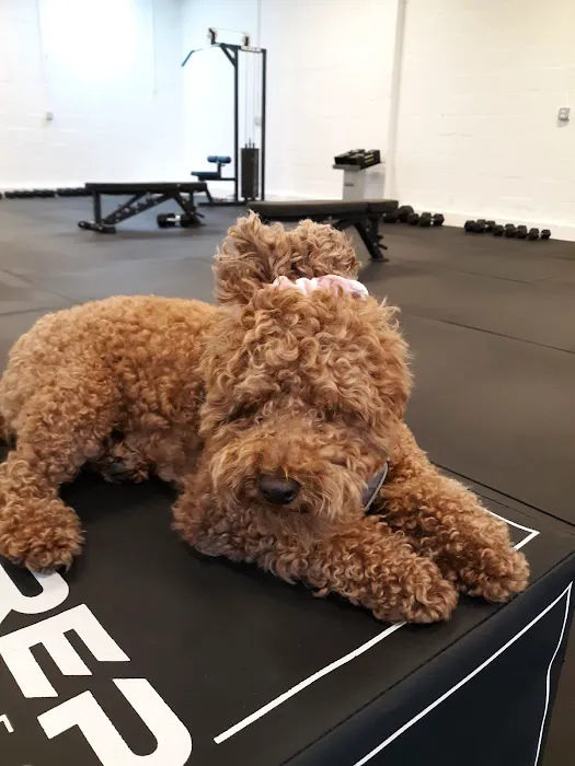 FACT Fitness LLC Picture 3