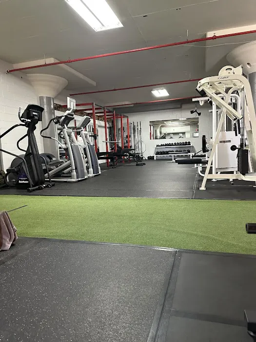 Absolute Fitness LLC Picture 5