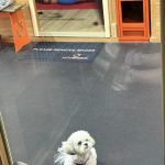 HOTWORX - Sycamore, IL - Dekalb Ave